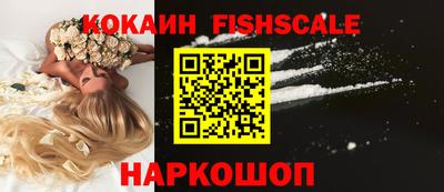 кокс Кингисепп