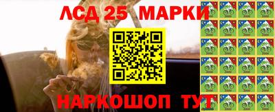 кокс Кингисепп
