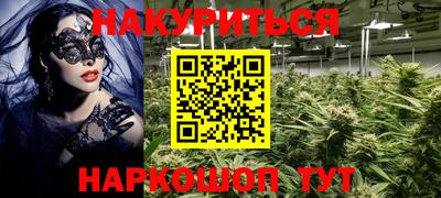 кокс Кингисепп