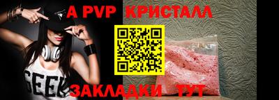 кокс Кингисепп