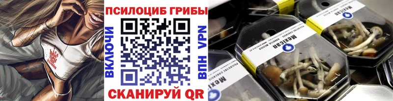 Галлюциногенные грибы Psilocybine cubensis  купить закладку  hydra зеркало  Светлоград 