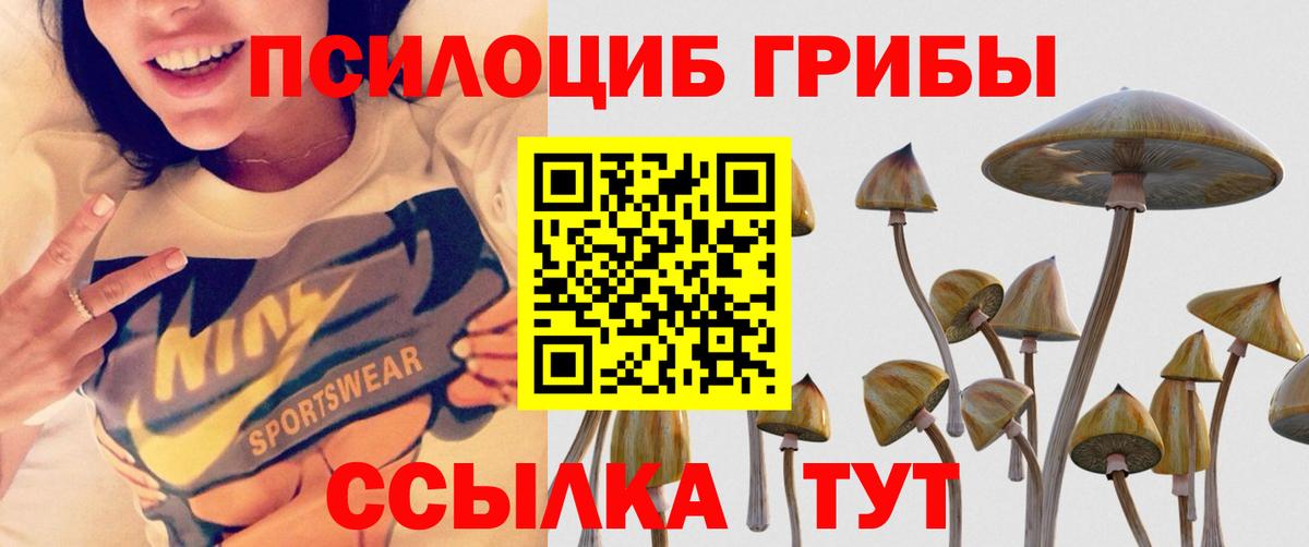 Псилоцибиновые грибы MAGIC MUSHROOMS  Вход с VPN  Светлоград 
